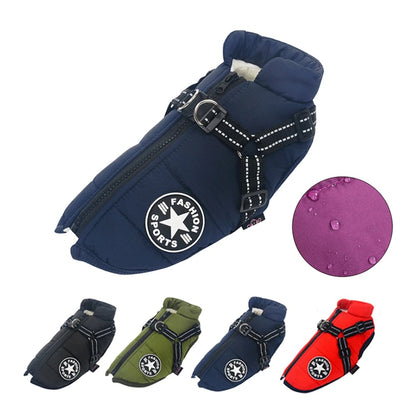 Petit chien blanc portant un manteau d’hiver vert avec harnais intégré – Confort et chaleur pour les promenades hivernales
