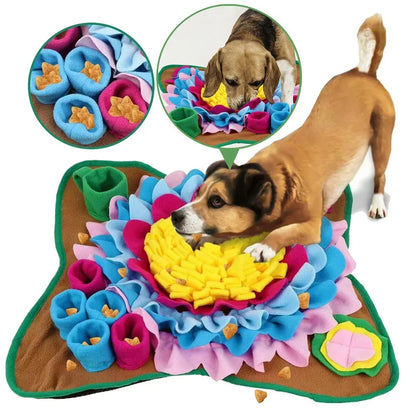 jouets interactifs pour chien