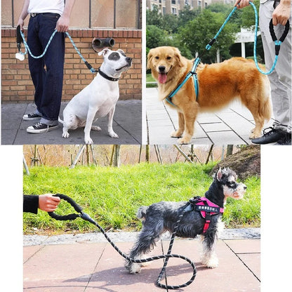 Laisse-pour-chien