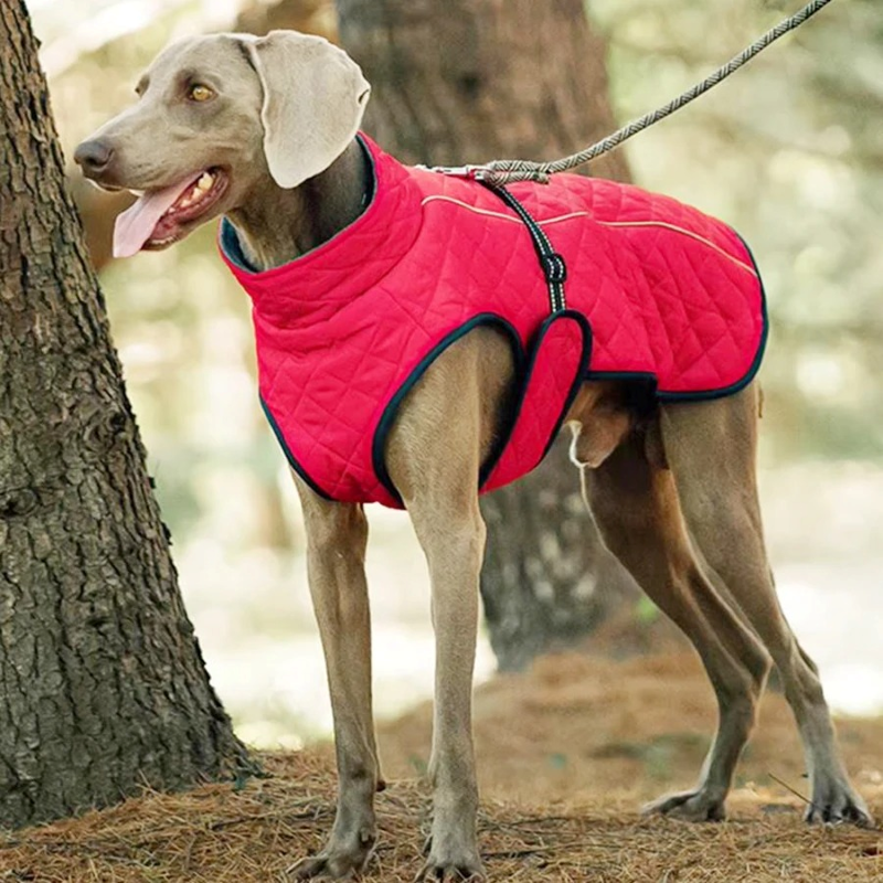 Veste chaude pour chien sans manches