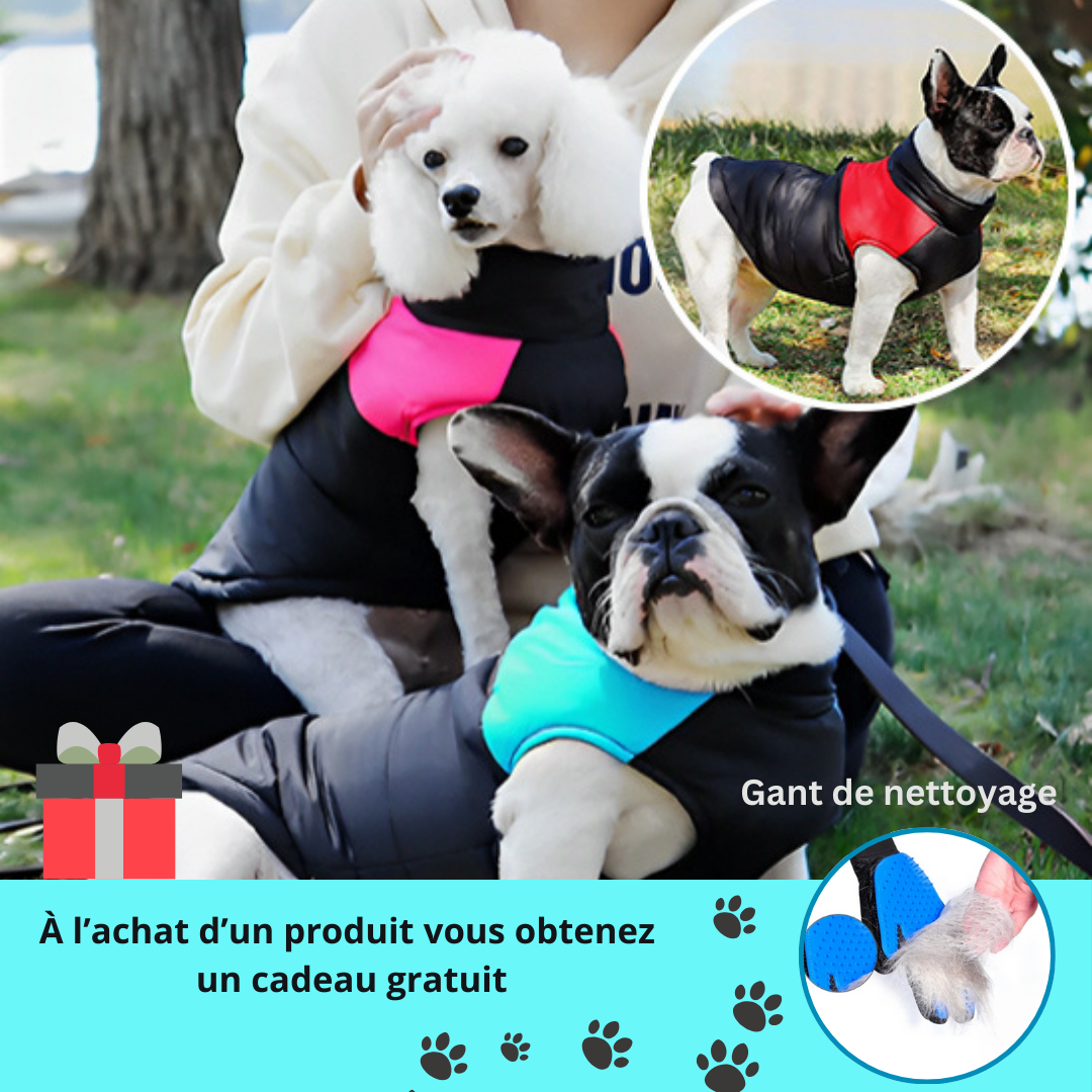 Manteau pour chien | Jacquet™