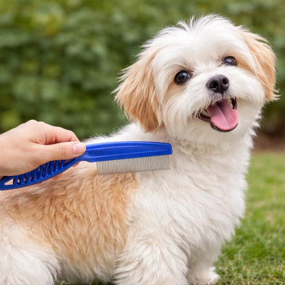Peigne anti-puces pour chien utilisé sur un petit chien lors du toilettage
