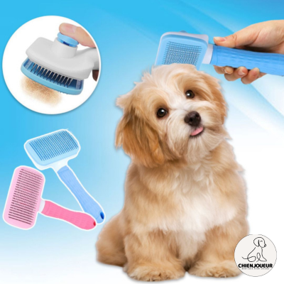 PeigneDémêlant™ | Brosse pour chien Peigne chienjoueur   