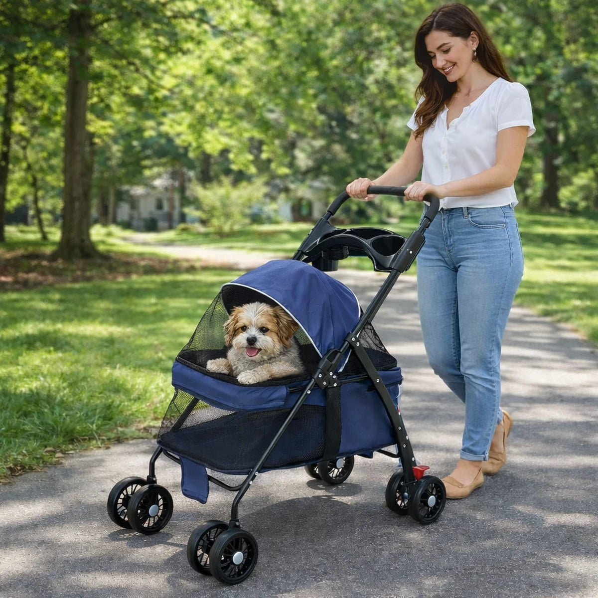 Maîtresse promenant son petit chien dans une poussette pour chien lors d’une balade au parc
