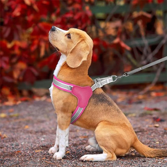 Harnais Y-Shape pour chien avec poignées de contrôle renforcées et boucles de sécurité robustes.
