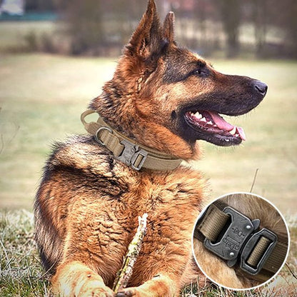 Collier pour chien | Tactique Militaire