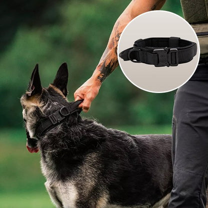 Collier pour chien | Tactique Militaire