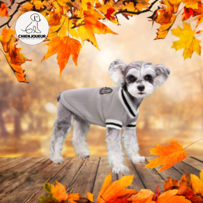 PetPull™ | Pull de style Collégial sweater pour chien Chienjoueur Gris  