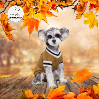 PetPull™ | Pull de style Collégial sweater pour chien Chienjoueur Kaki  