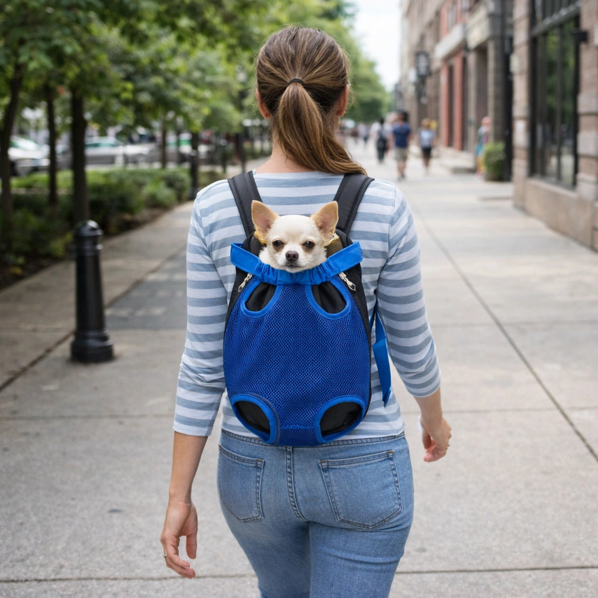 Femme marchant sur un trottoir avec sac à dos de transport respirant pour petit chien, confortable et sécurisé