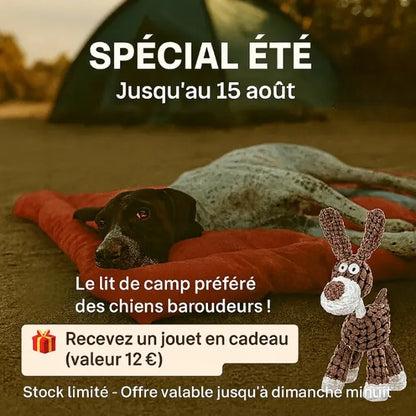 Un chien couché sur un coussin près d'une tente