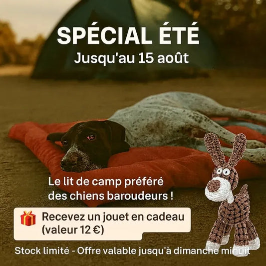 Un chien couché sur un coussin près d'une tente