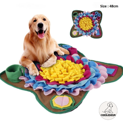 Tapis-de-fouille
