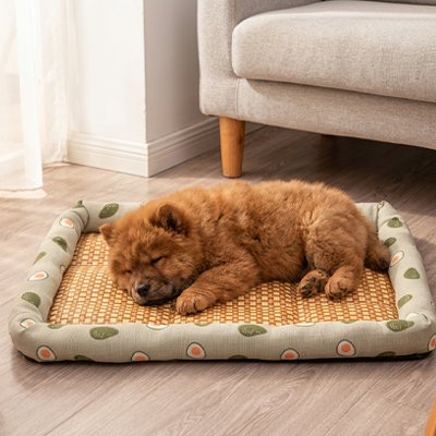 Tapis rafraichissant Chien