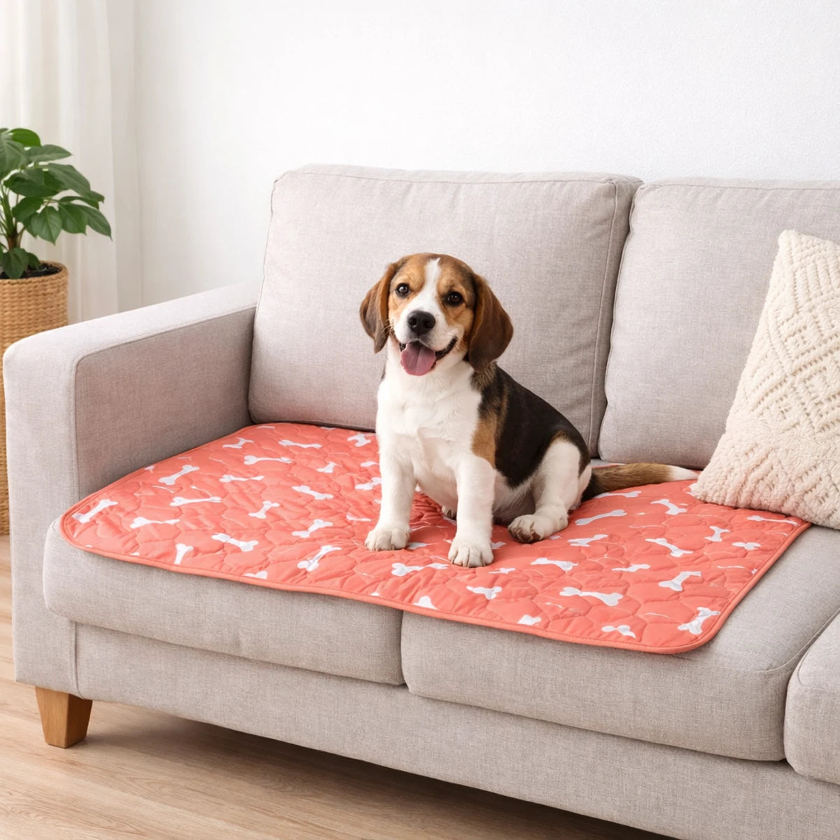 Coussin d’urine réutilisable pour chien