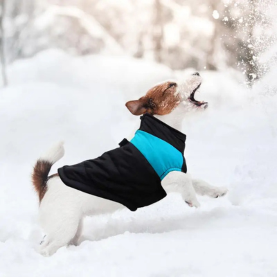 DogJacquet™ | Veste imperméable Jacket pour chien Chienjoueur Bleu S ( 1.5 - 2.5Kg ) 