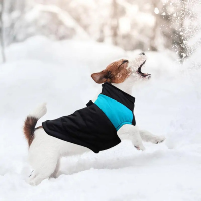 Manteau-pour-chien