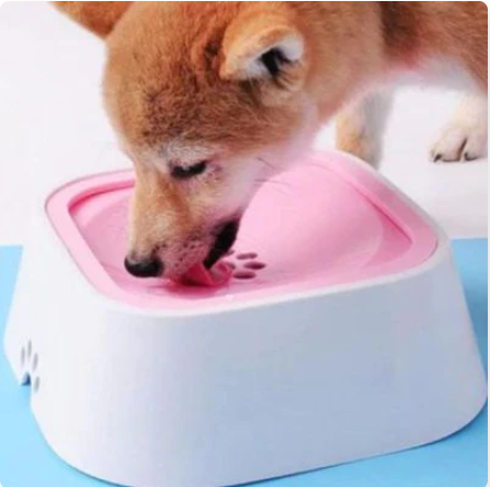 DogBowl™ | Gamelle d'eau - Anti Éclaboussures Bol eau chien Chienjoueur Rose  