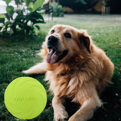 FlyingDiscs™ | Jouet interactif Jouet pour chien Chienjoueur Vert S 15cm 