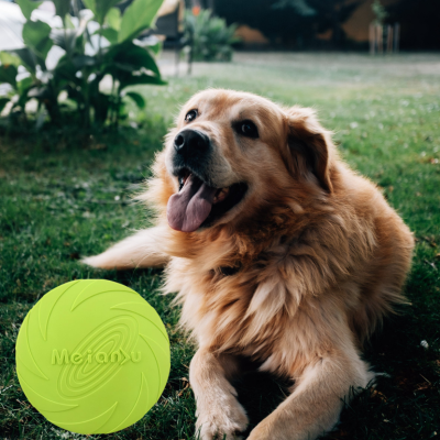 Disque-volant-pour-chien