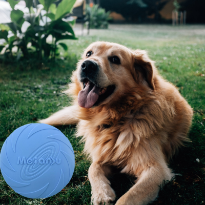 FlyingDiscs™ | Jouet interactif Jouet pour chien Chienjoueur Bleu S 15cm 