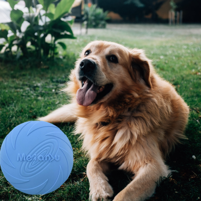 Disque-volant-pour-chien