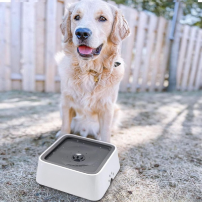 DogBowl™ | Gamelle d'eau - Anti Éclaboussures Bol eau chien Chienjoueur Gris  