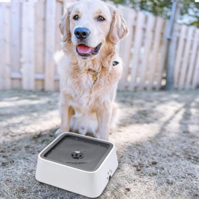  Gamelle-pour-chien 
