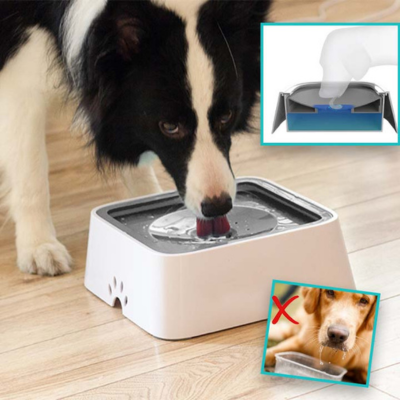 gamelle-pour-chien