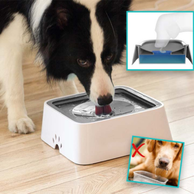 DogBowl™ | Gamelle d'eau - Anti Éclaboussures Bol eau chien Chienjoueur   