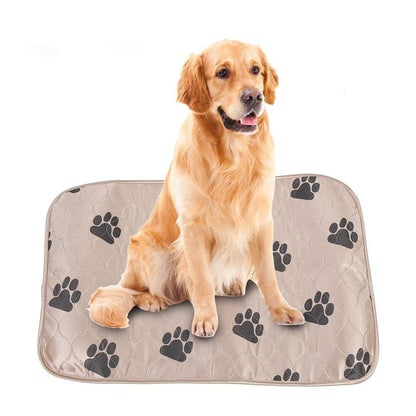 tapis-a-pipi