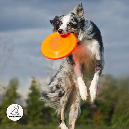 Disque-volant-pour-chien