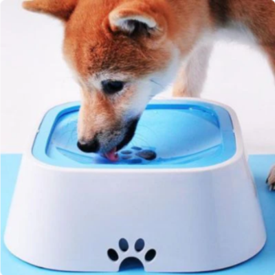 gamelle-pour-chien