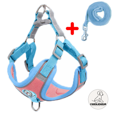 Pet Dog harness™ | Harnais pour chien harnais chien Chienjoueur Bleu S (1 -3  KL) 