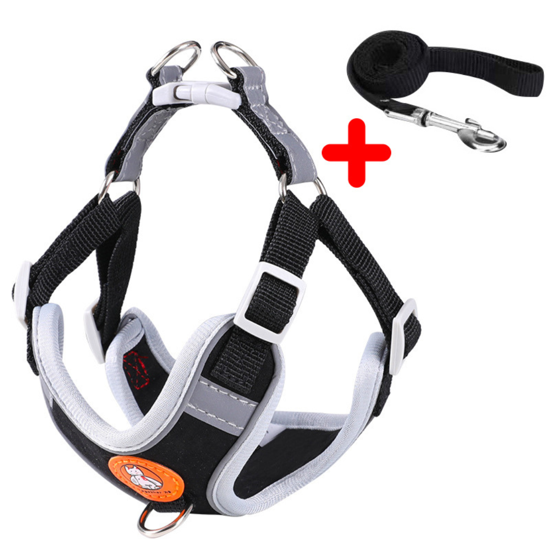 Pet Dog harness™ | Harnais pour chien harnais chien Chienjoueur Noir S (1 -3  KL) 