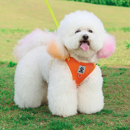 harnais-pour-chien