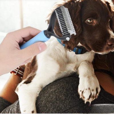   Brosse- de-toilettage   