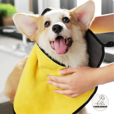 Quick-drying Dog™ | Serviette  | séchage rapide Serviette de bain alimaux de compagnie Chienjoueur   