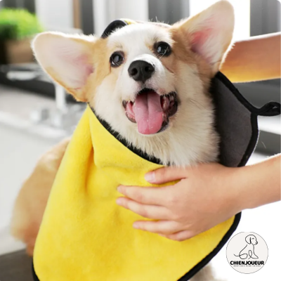 Serviette-chien
