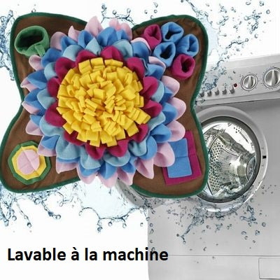 Tapis-de-fouille
